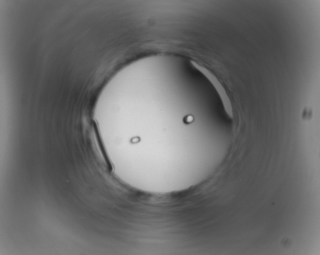 X0000113850720200910151211