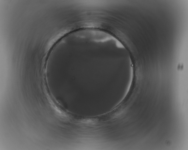 X0000113850721200910151211