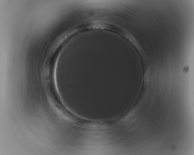 X0000113850722200910151211