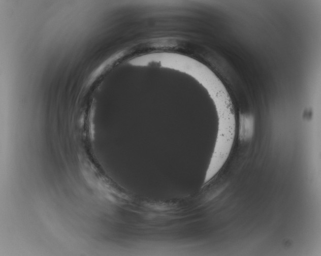 X0000113850723200910151211