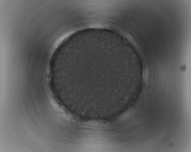 X0000113850724200910151211