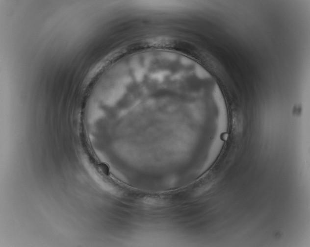 X0000113850725200910151211