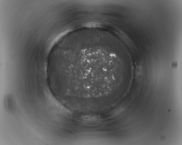 X0000113850727200910151211