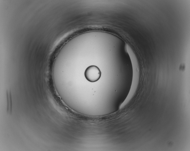 X0000113850728200910151211