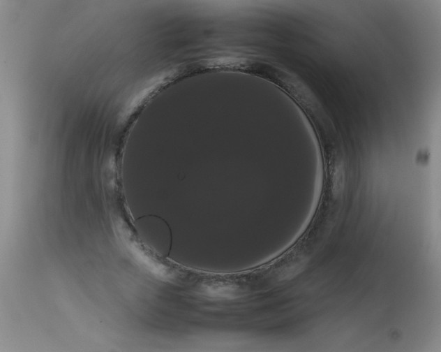 X0000113850729200910151211