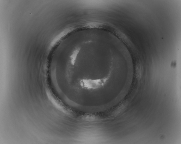 X0000113850730200910151211