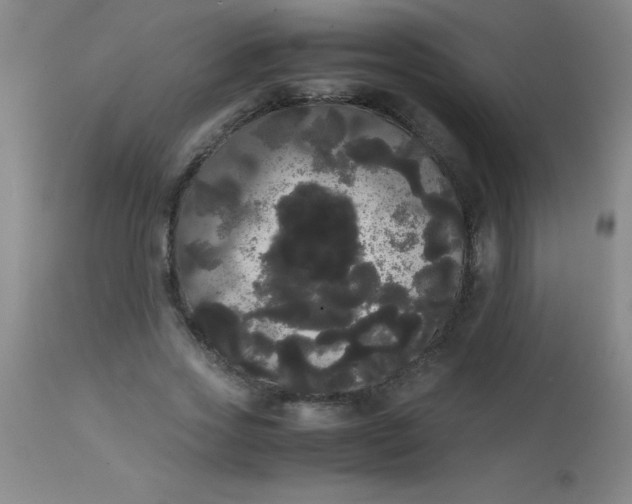 X0000113850733200910151211