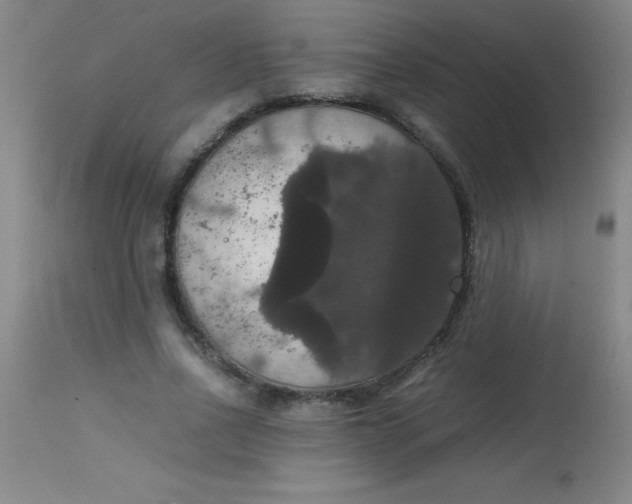 X0000113850734200910151211