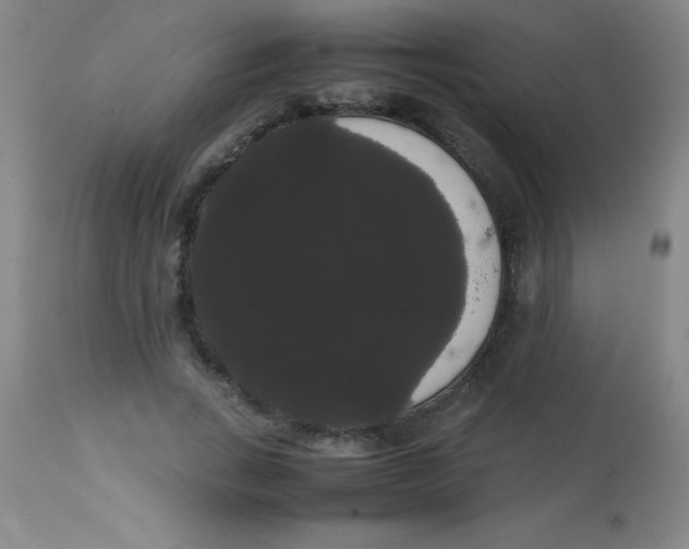 X0000113850735200910151211