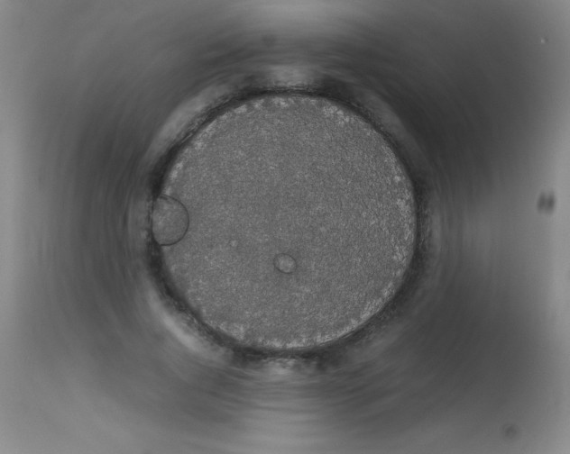 X0000113850736200910151211