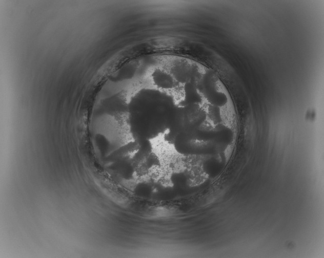 X0000113850737200910151211