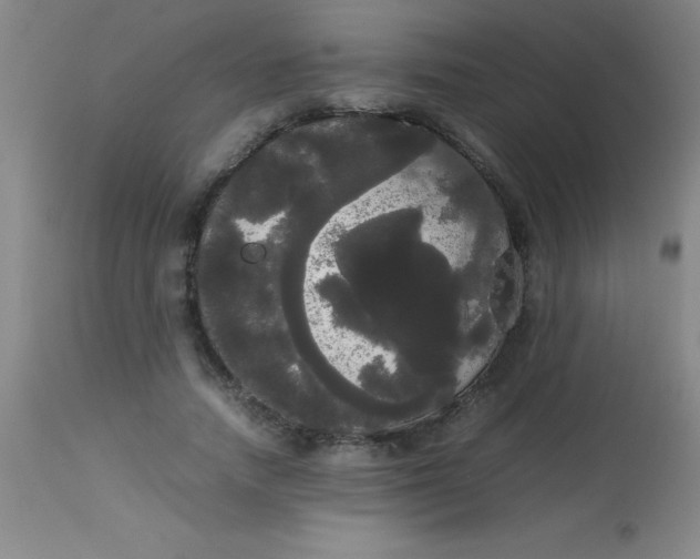 X0000113850738200910151211