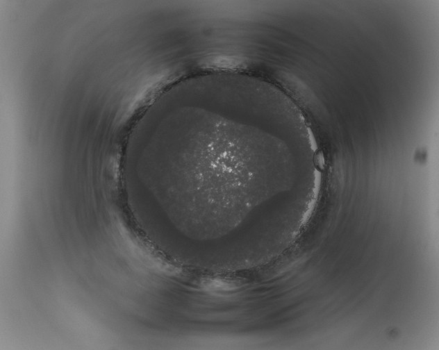 X0000113850739200910151211