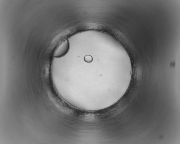 X0000113850740200910151211