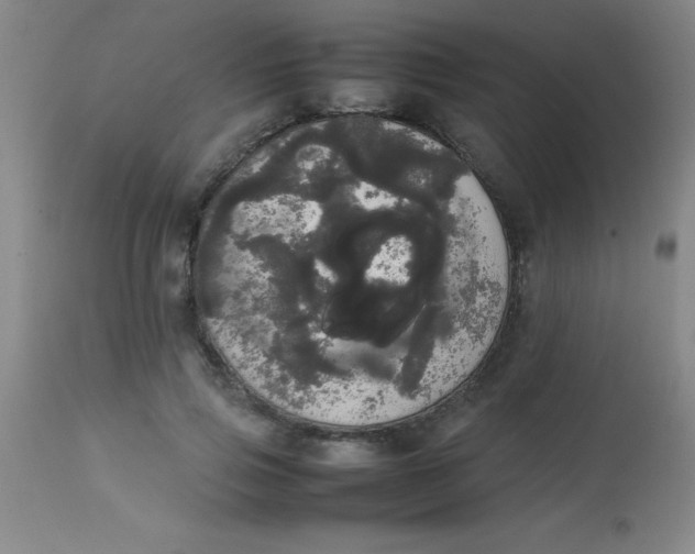 X0000113850741200910151211