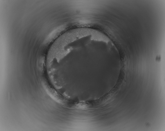 X0000113850742200910151211