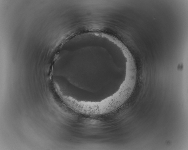 X0000113850743200910151211