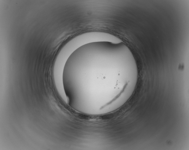 X0000113850744200910151211