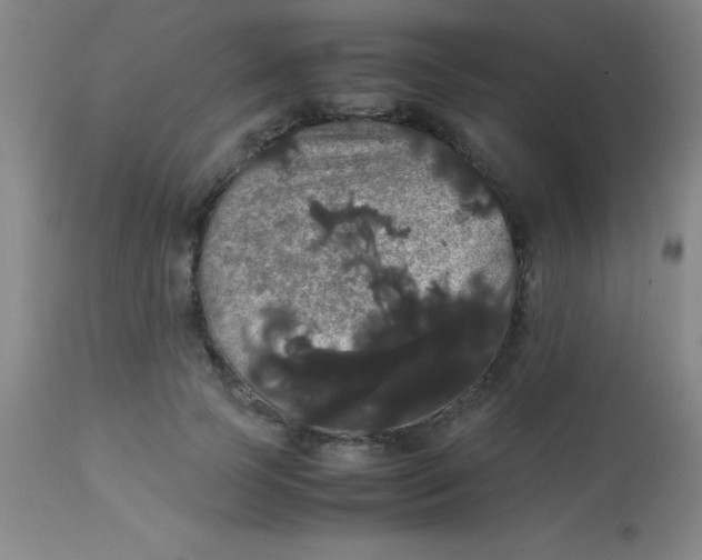 X0000113850745200910151211