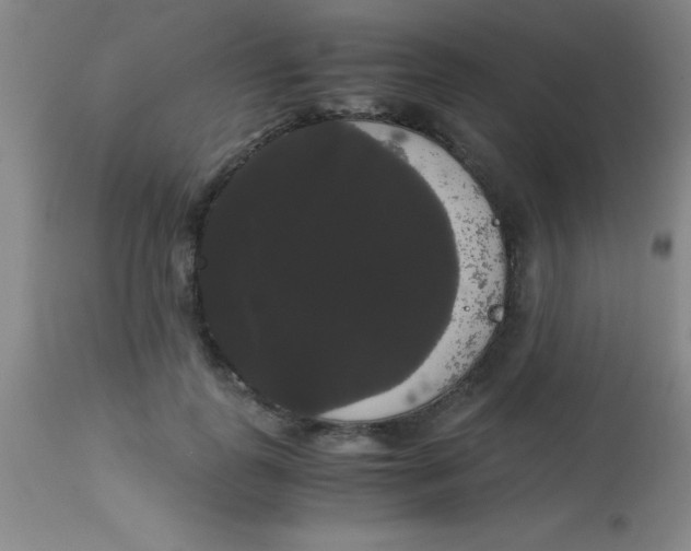 X0000113850747200910151211