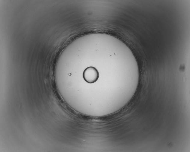 X0000113850748200910151211