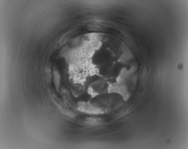 X0000113850749200910151211