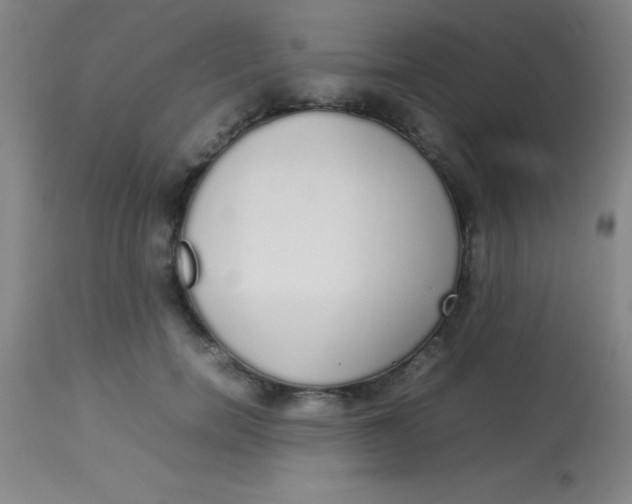 X0000113850750200910151211