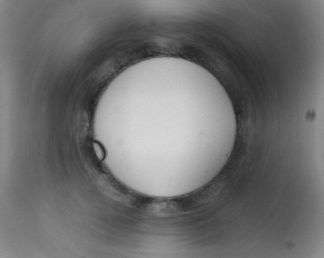 X0000113850752200910151211