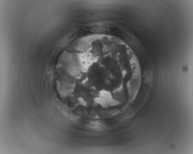 X0000113850753200910151211