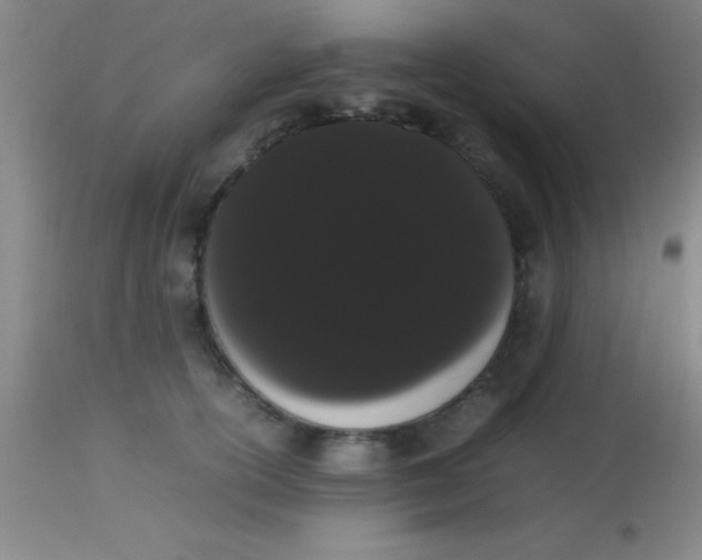 X0000113850754200910151211