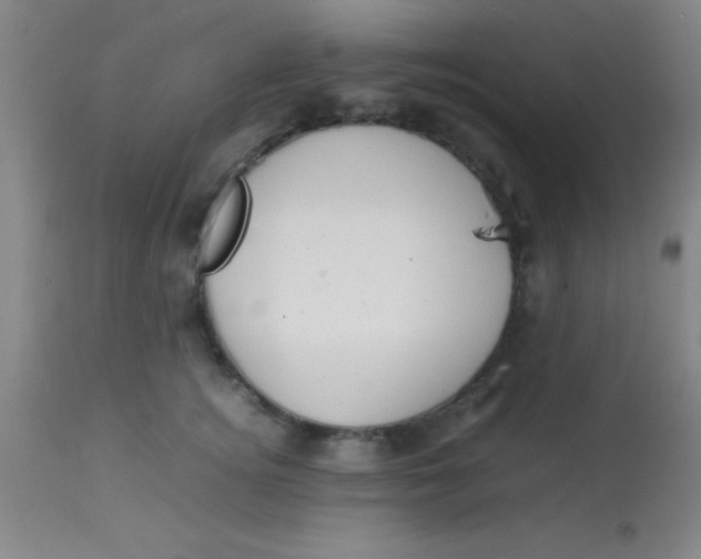 X0000113850756200910151211