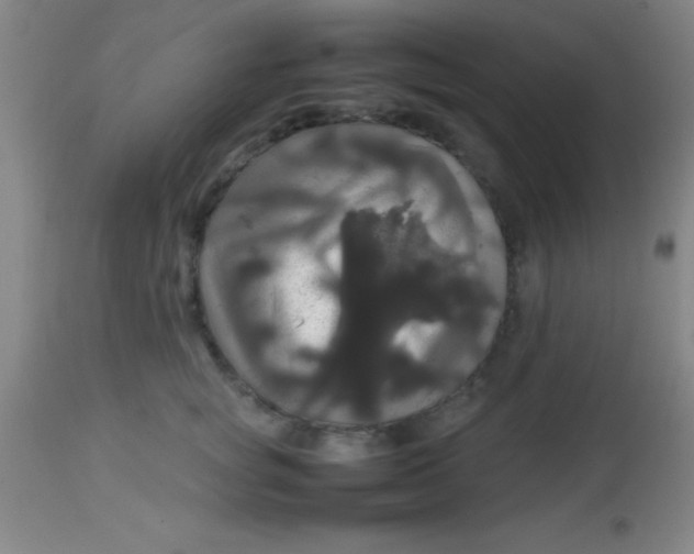 X0000113850757200910151211