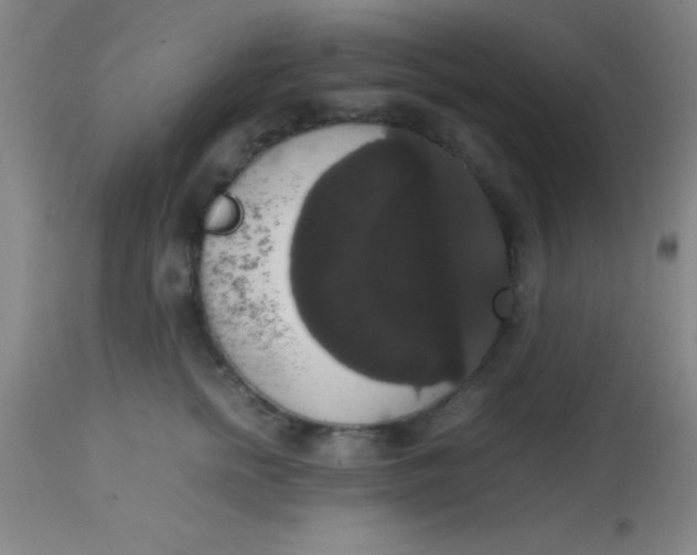 X0000113850758200910151211