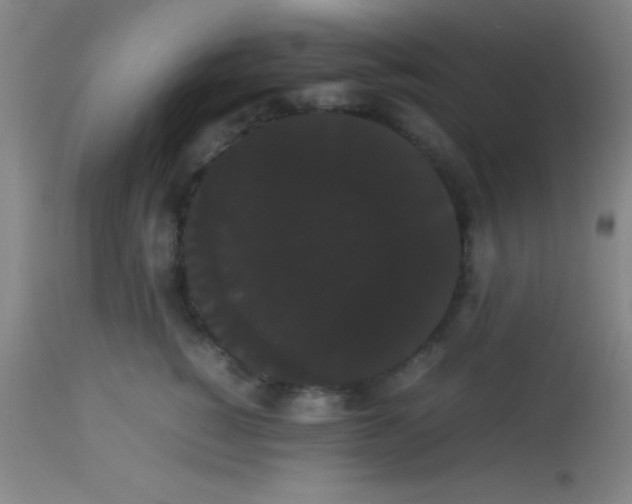 X0000113850760200910151211