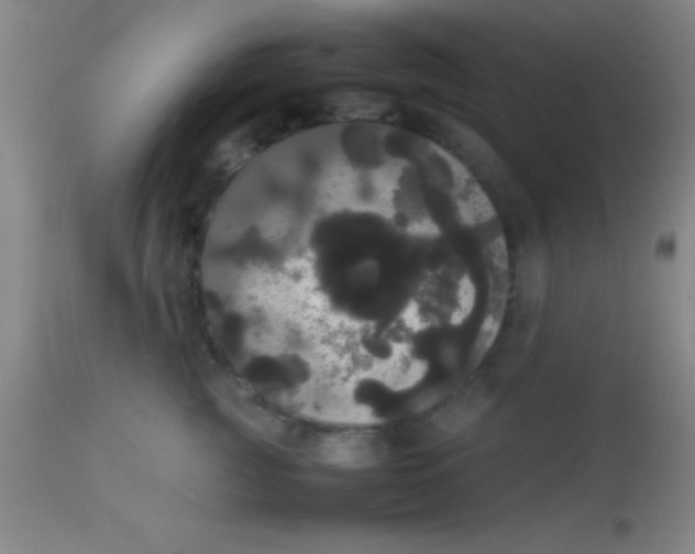 X0000113850761200910151211