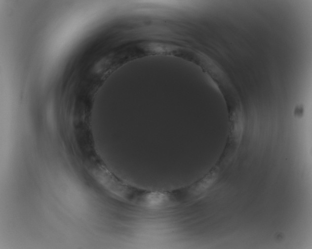 X0000113850762200910151211