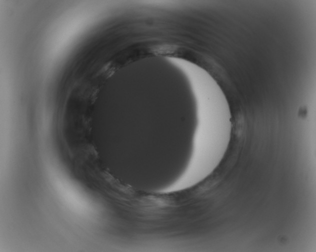 X0000113850763200910151211