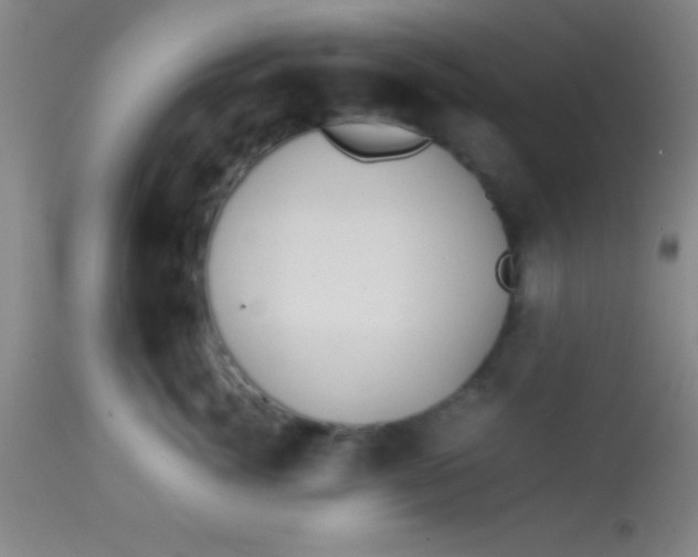 X0000113850764200910151211