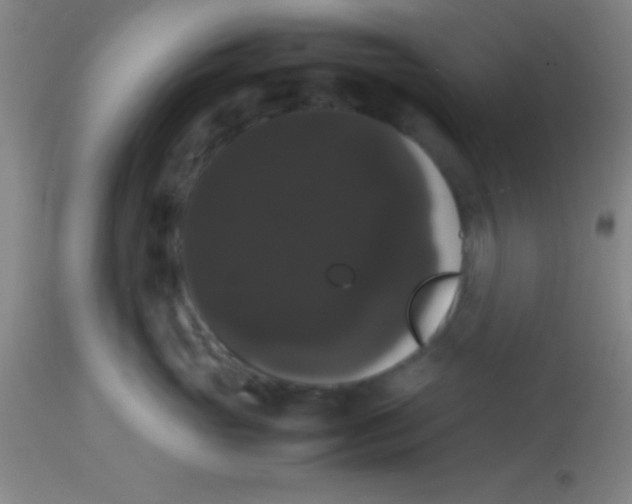 X0000113850765200910151211