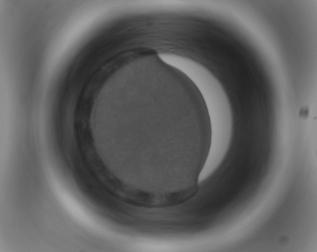 X0000113850766200910151211