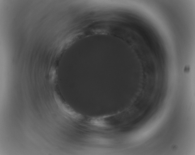 X0000113850767200910151211