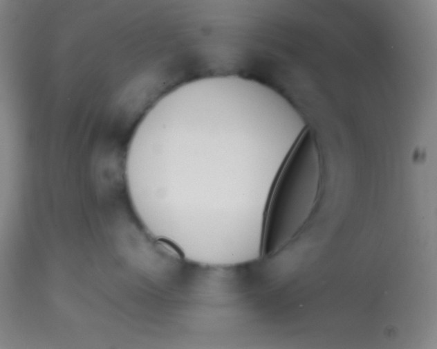 X0000113850768200910151211