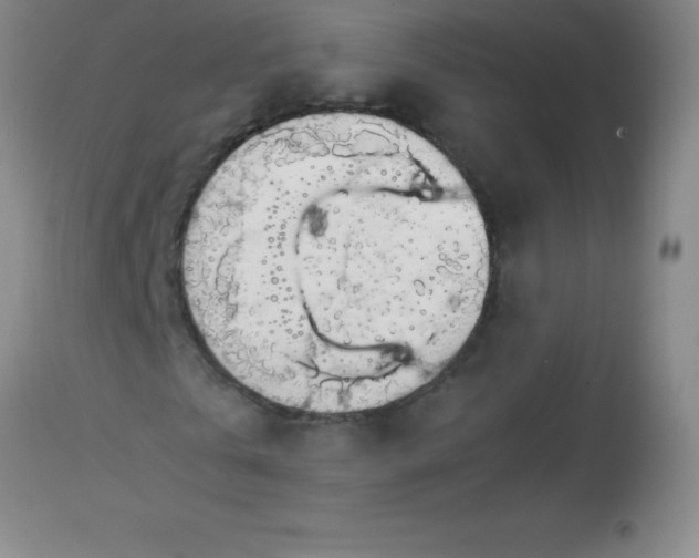 X0000113850769200910151211