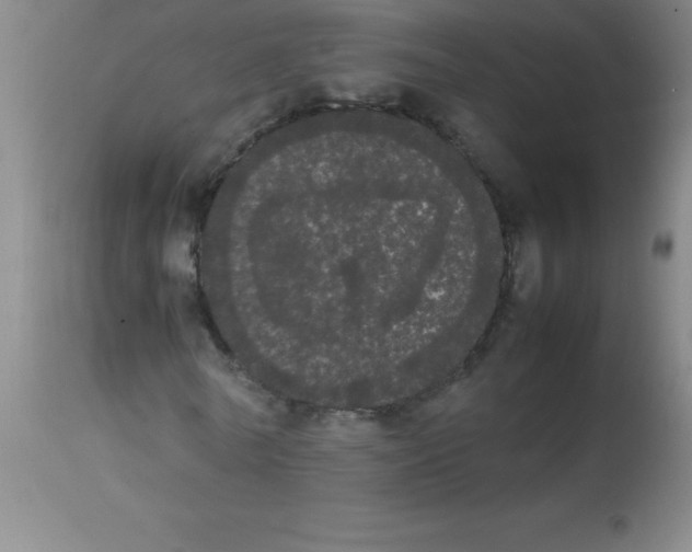 X0000113850770200910151211