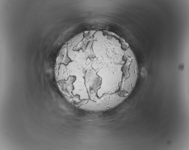 X0000113850771200910151211