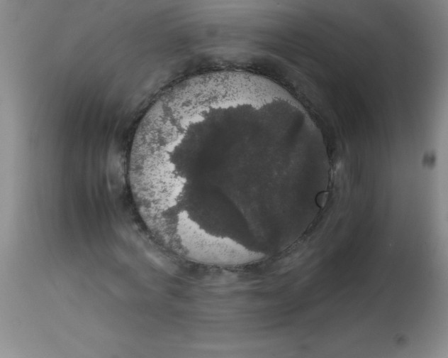 X0000113850772200910151211