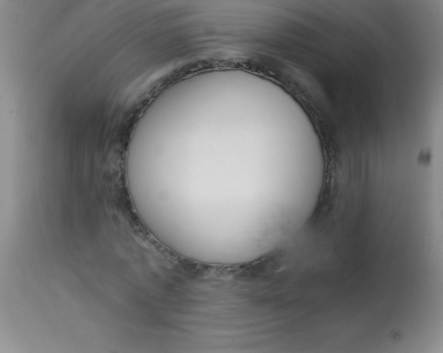 X0000113850773200910151211