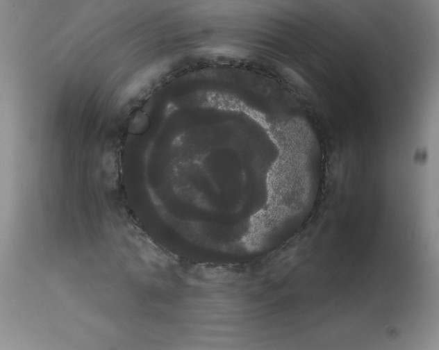 X0000113850774200910151211