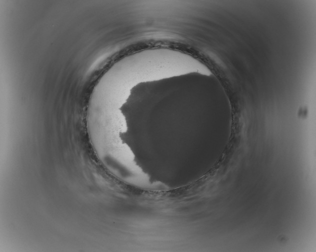 X0000113850775200910151211