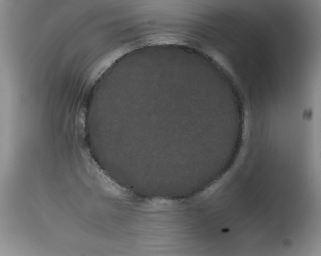 X0000113850777200910151211